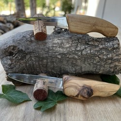 Olive wood handle Office knife